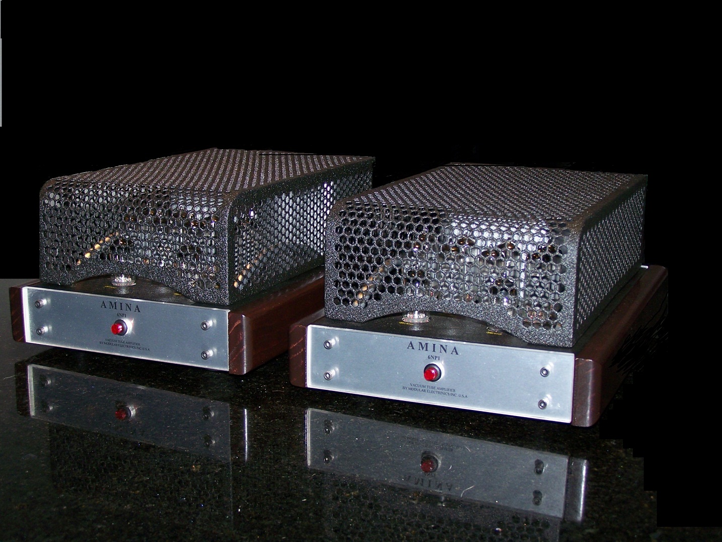 6NP1 mono AMP.